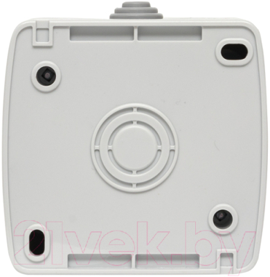 Выключатель EKF Мурманск 1кл 10А IP54 / EFV10-121-30-54