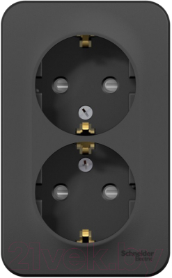 Розетка Schneider Electric Blanca BLNRA011216 - фото