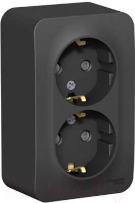 Розетка Schneider Electric Blanca BLNRA011216