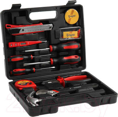 Универсальный набор инструментов Tundra 23 февраля / 9305221 - фото