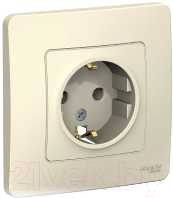 Розетка Schneider Electric Blanca BLNRS001012 - фото