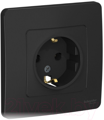 Розетка Schneider Electric Blanca BLNRS001016 - фото