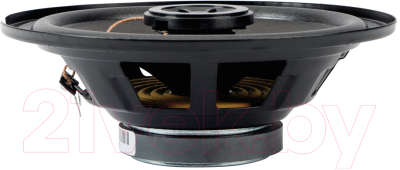 Коаксиальная АС AURA Fireball-i62