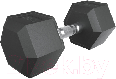 Гантель UNIX Fit DBHEX15