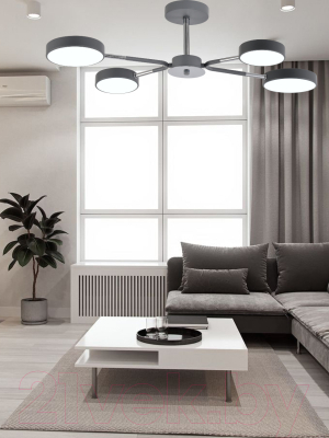 Потолочный светильник Mirastyle Диод MH-3224/4 GR+CR