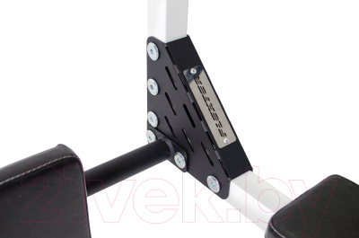 Турник-брусья Flexter Profi Gros / ТБПG0.12-FLX P