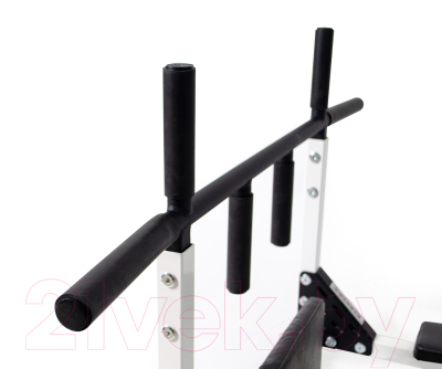 Турник-брусья Flexter Profi Gros / ТБПG0.12-FLX P