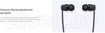 Беспроводные наушники Sony WI-C100