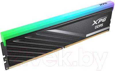 Оперативная память DDR5 A-data AX5U6400C3216G-DTLABRBK