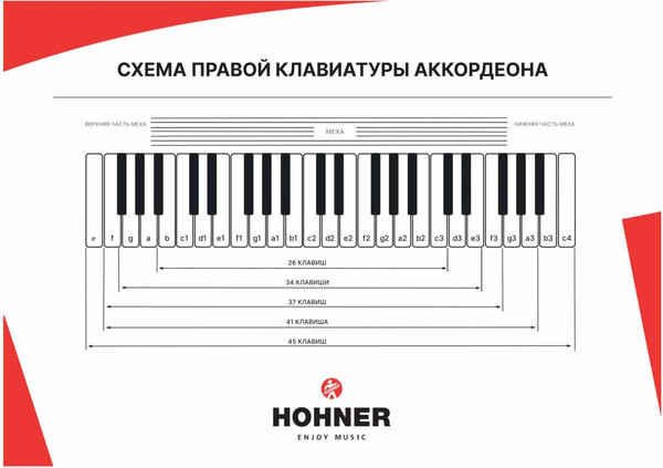 Аккордеон Hohner The New Bravo III 120 / A16831/A16832