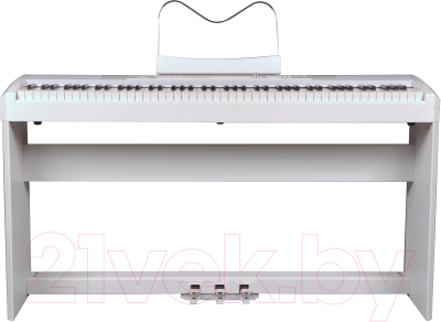 Цифровое фортепиано Ringway RP-35 W