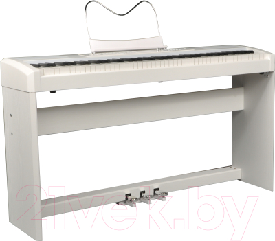 Цифровое фортепиано Ringway RP-35 W