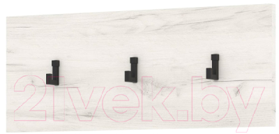 Вешалка для одежды Памир Панель Гретта 500 - фото