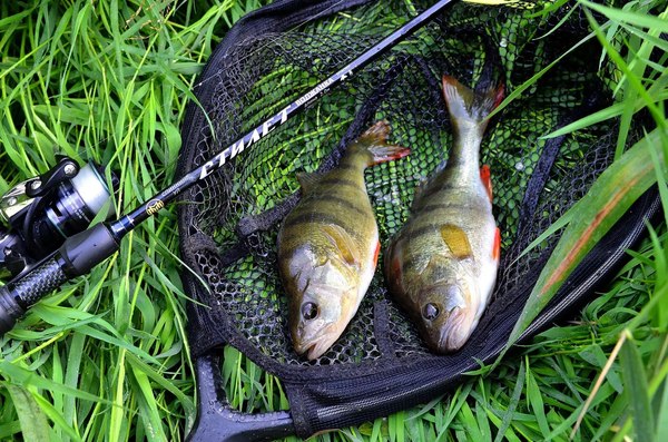 Спиннинг Волжанка Стилет 2.13м / 1363235