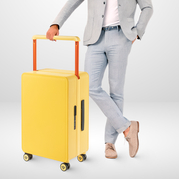 Чемодан на колесах DoubleW 005#