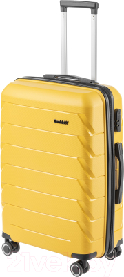 Чемодан на колесах DoubleW YF-PP02