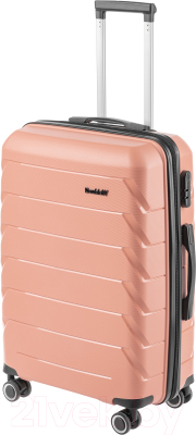 Чемодан на колесах DoubleW YF-PP02 - фото