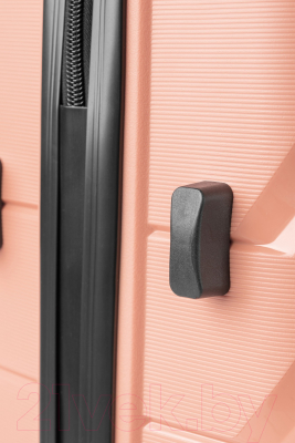 Чемодан на колесах DoubleW YF-PP02