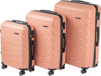 Чемодан на колесах DoubleW YF-PP02