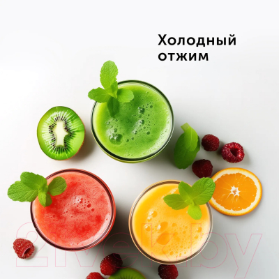 Соковыжималка электрическая RED solution RJ-930S