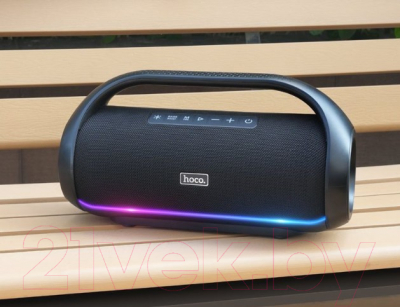 Портативная колонка Hoco DS47 (черный)