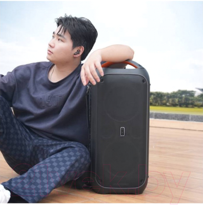 Портативная колонка Borofone DR11 (черный)