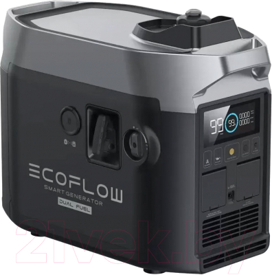 Гибридный генератор EcoFlow Dual Fuel Smart Generator - фото
