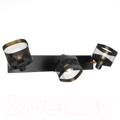 Спот Citilux Хаген CL531535