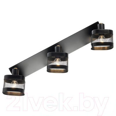 Спот Citilux Хаген CL531535