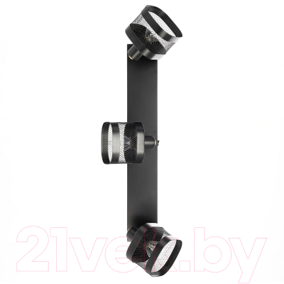 Спот Citilux Хаген CL531535