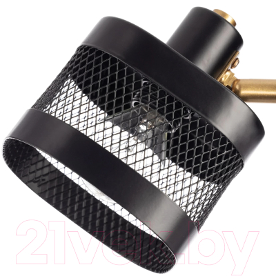 Спот Citilux Хаген CL531535