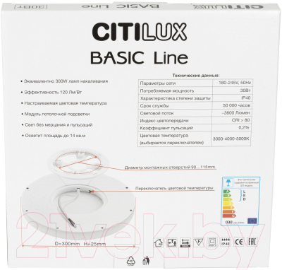 Потолочный светильник Citilux Бейсик Лайн CL738321VL