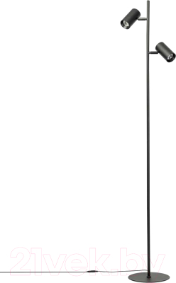 Торшер Citilux Twin CL809011N - фото