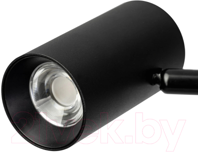 Торшер Citilux Twin CL809011N