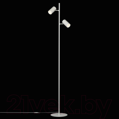 Торшер Citilux Twin CL809010N