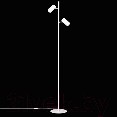 Торшер Citilux Twin CL809010N