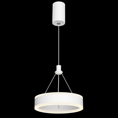 Потолочный светильник Citilux Дуэт CL719010 - фото