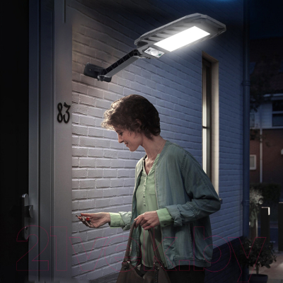 Светильник уличный Garvill TBD0600398901