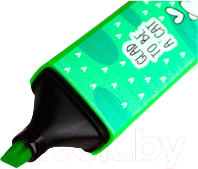 Набор маркеров Meshu Cat's paw / MS_76351