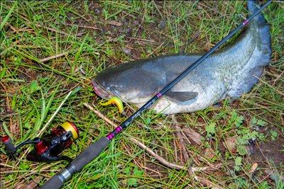 Спиннинг Волжанка Джиг-Мастер / 3547840