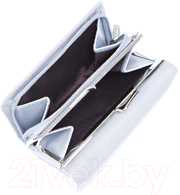 Портмоне Passo Avanti 920-NL0633B-LGR