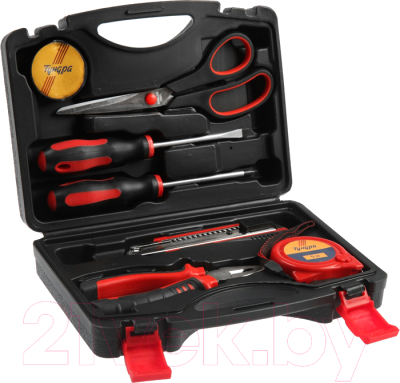 Универсальный набор инструментов Tundra 23 февраля / 9305220 - фото