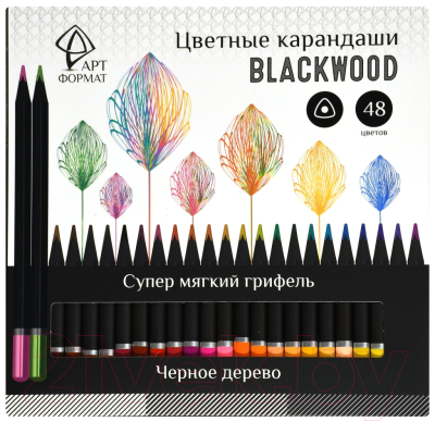 Набор цветных карандашей АртФормат Blackwood / AF03-051-48 - фото