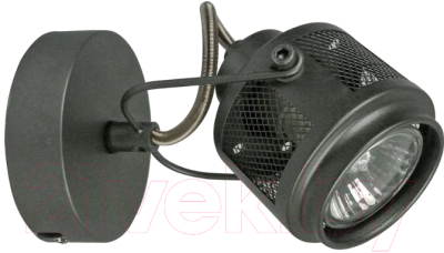 Спот Lussole Loft Haines LSP-8045 - фото