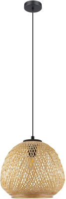 Потолочный светильник Eglo Dembleby 43261 - фото