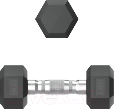 Гантель UNIX Fit DBHEX2.5