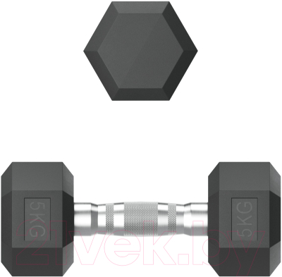 Гантель UNIX Fit DBHEX5