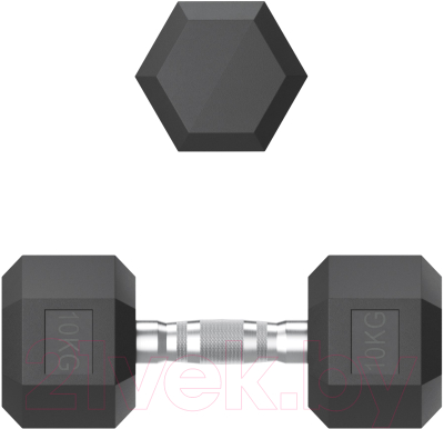 Гантель UNIX Fit DBHEX10