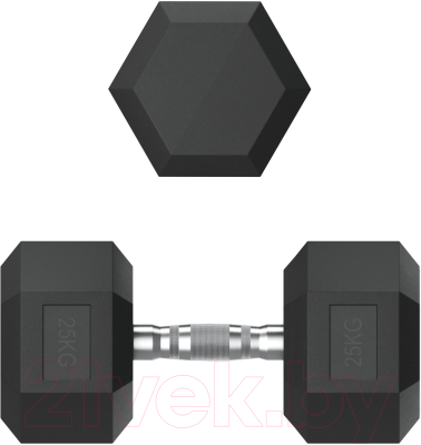 Гантель UNIX Fit DBHEX25