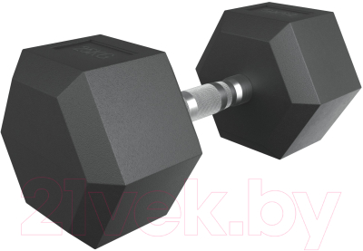 Гантель UNIX Fit DBHEX25